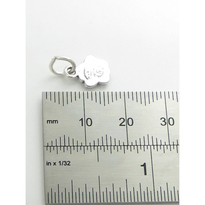 Sterling Silver Pawprint Small Charm, Pet Lover Gift